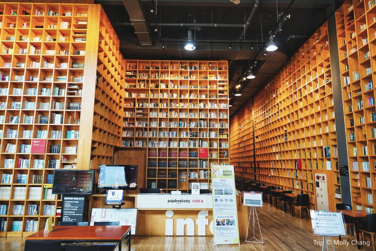 13米高書牆的夢幻圖書館，文青打卡勝地。