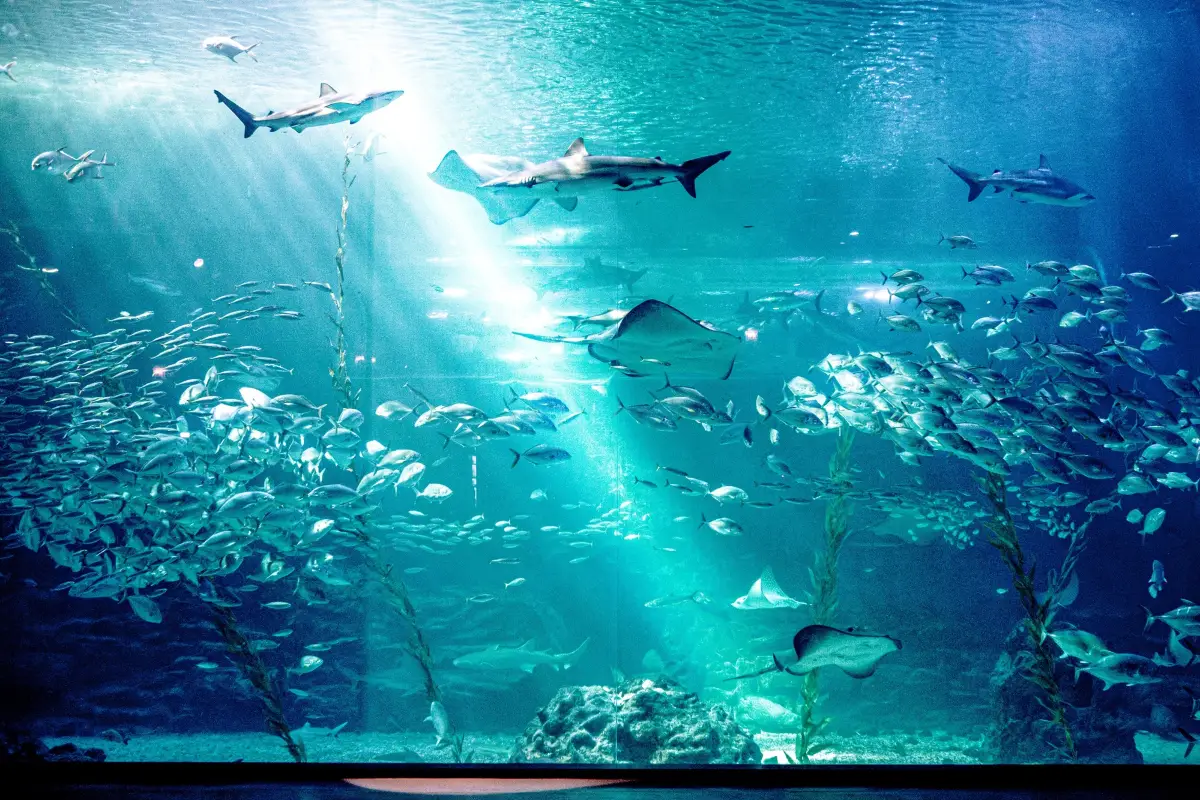 濟州島租車, 濟州景點