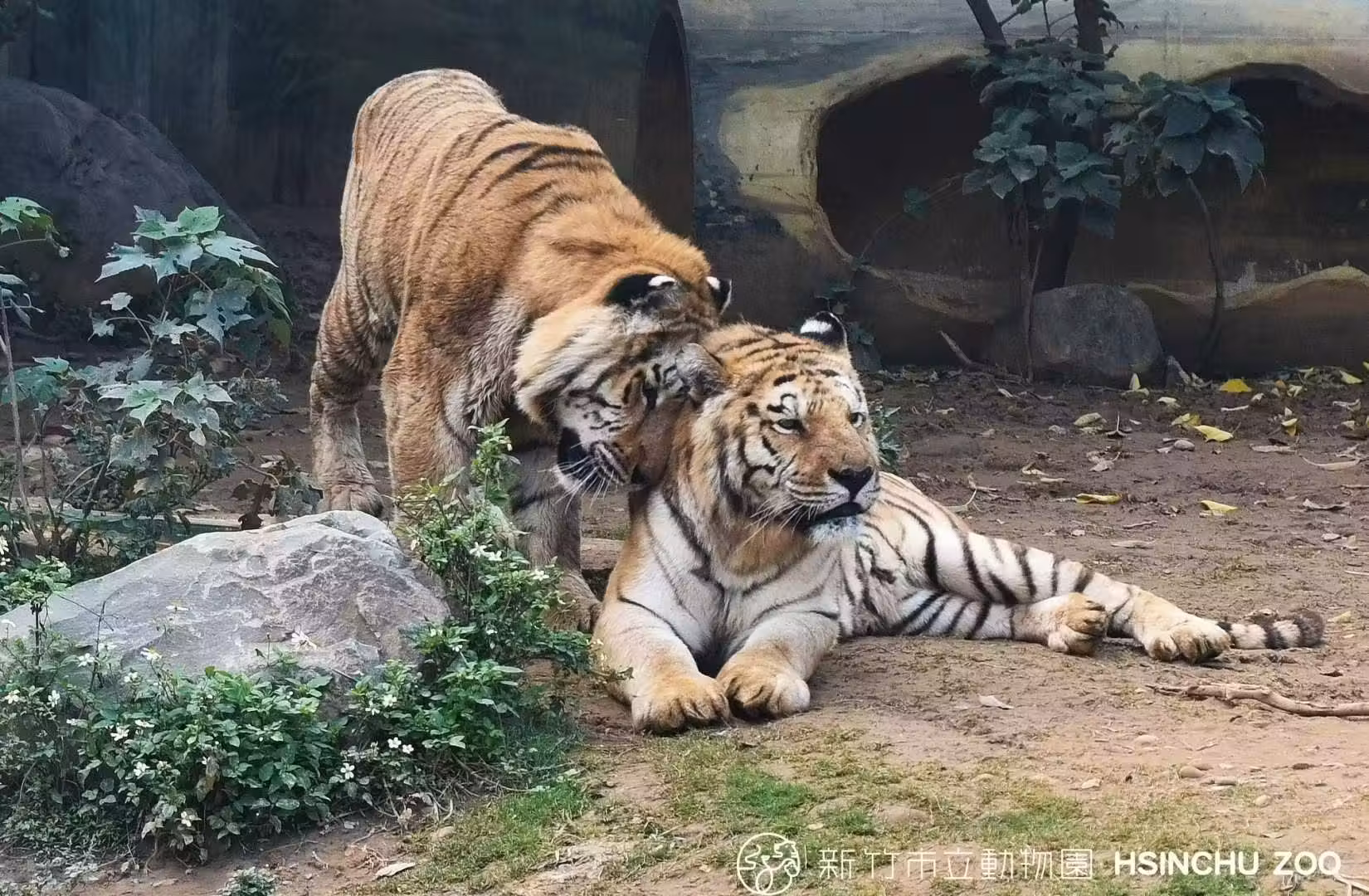 新竹市立動物園