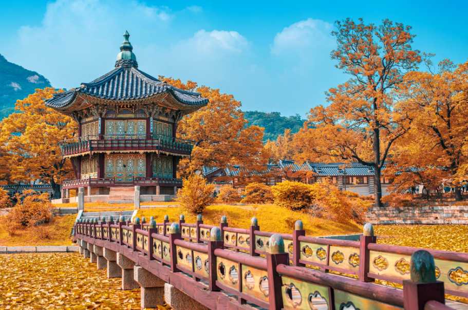 2025 韓國楓葉季