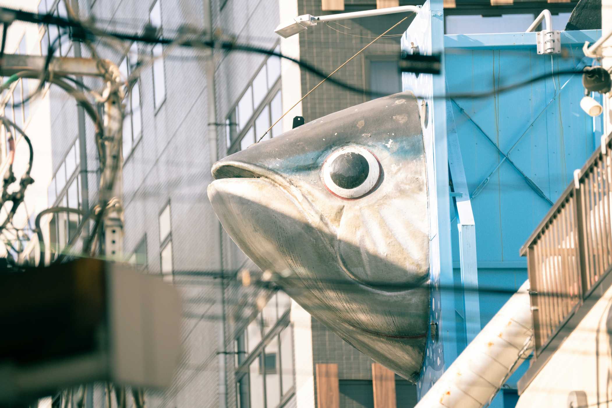 ตลาดปลา Tsukiji คืออะไร?