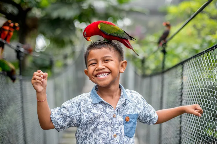 happy Bali travels