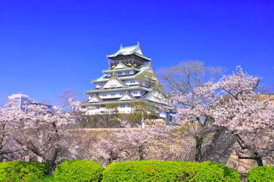 ญี่ปุ่น