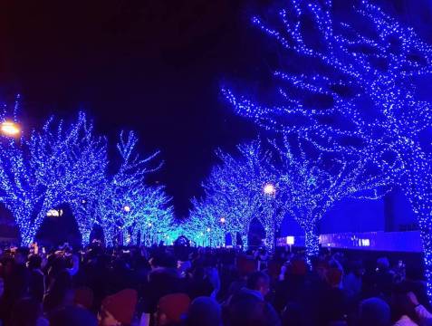 Shibuya Blue Cave Illumination