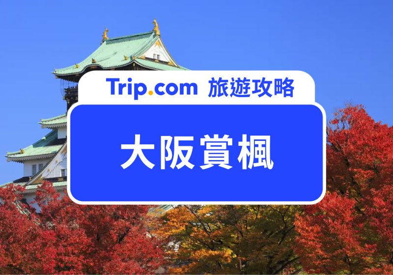 大阪賞楓