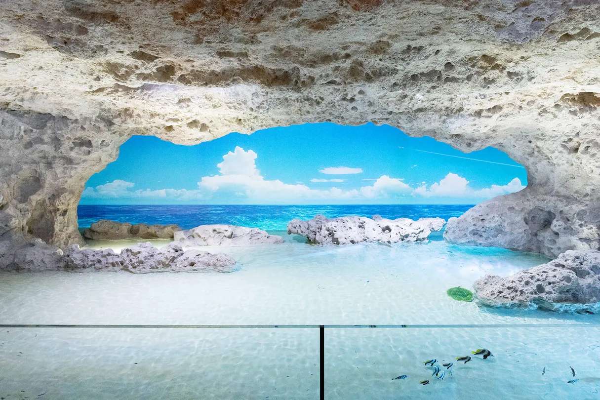 DMM Kariyushi 水族館