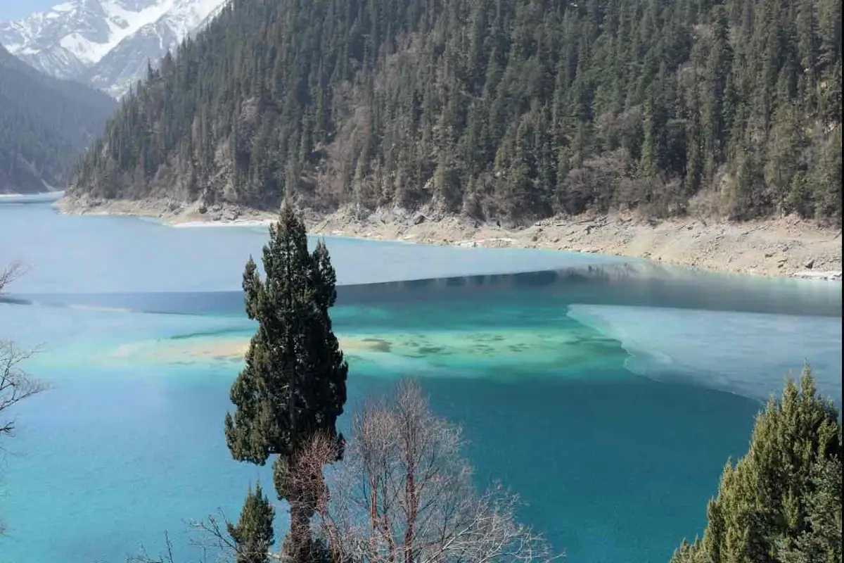 จิ่วจ้ายโกว