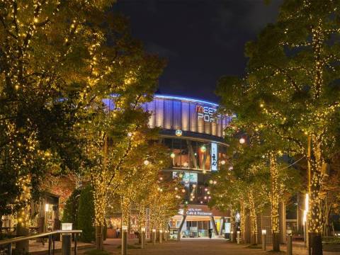 Tokyo Dome City Winter Illumination