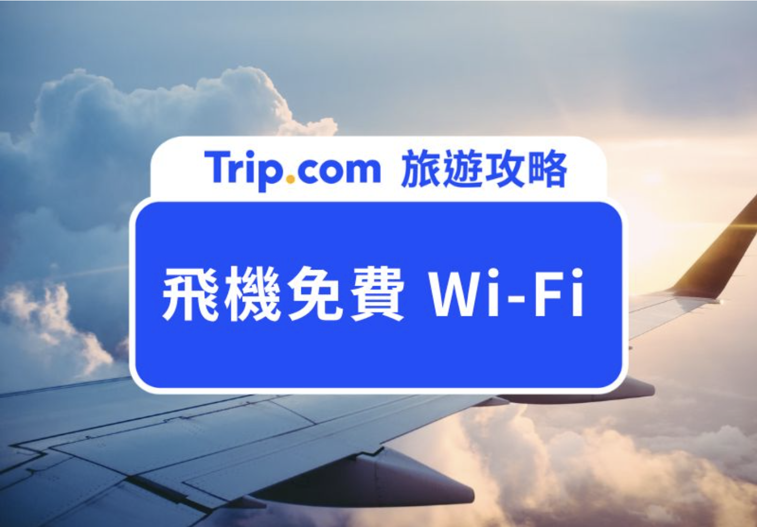 飛機上可以上網嗎
