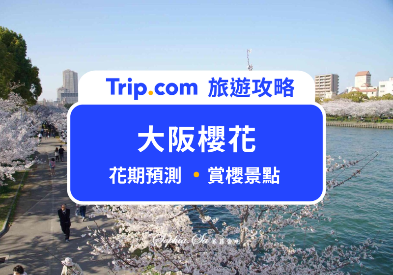 【 2025 大阪櫻花】追蹤日本櫻前線!櫻花隧道、古寺賞櫻、夜櫻點燈,精選大阪 10 處賞櫻勝地