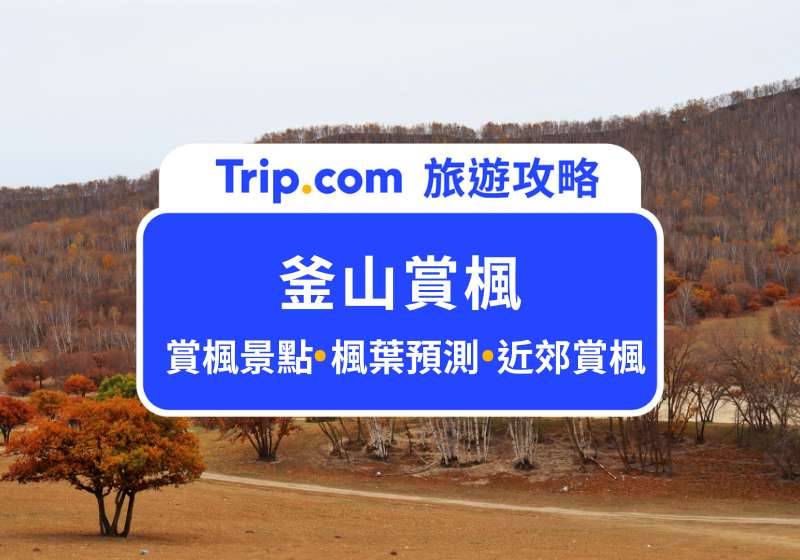 釜山賞楓