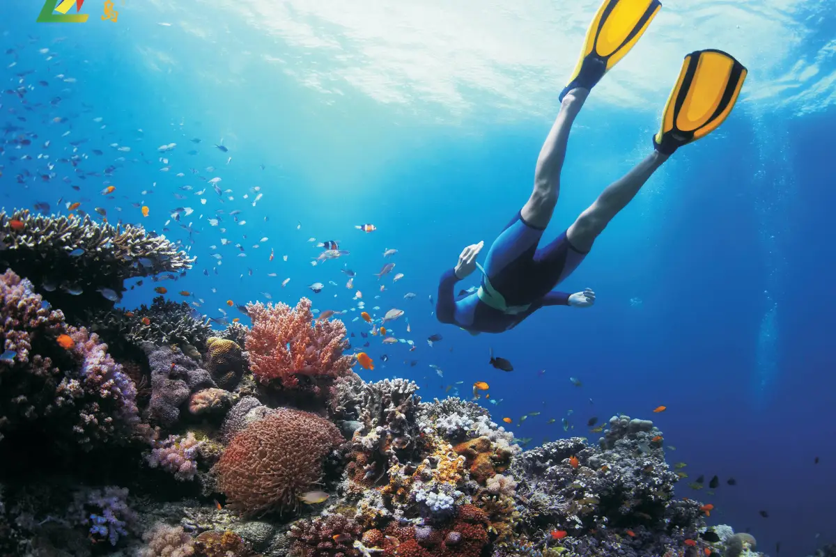 三亞潛水, 西島