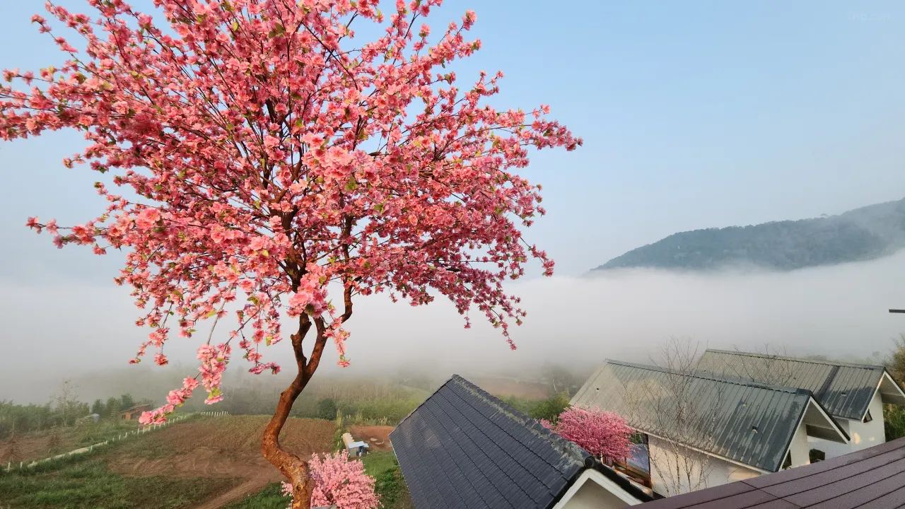 ที่พักเขาค้อ