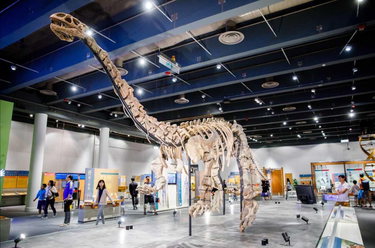 พาลูกเที่ยวฮ่องกง