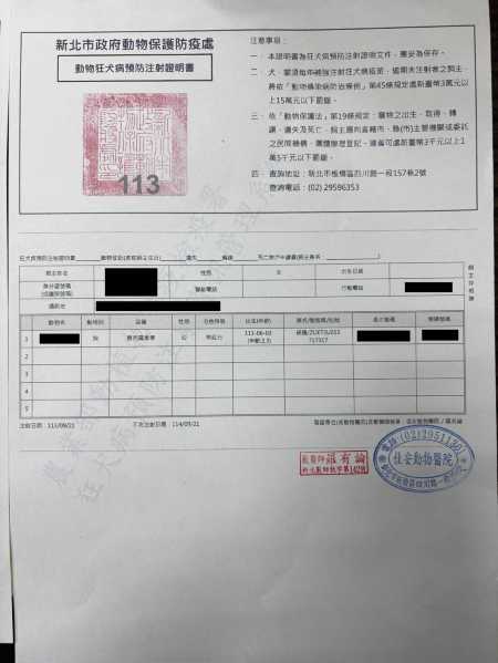 Documents and ID Requirements for Traveling with Pets