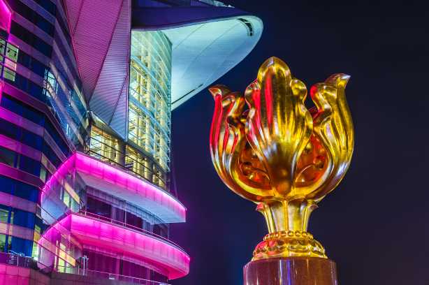 Golden Bauhinia Square