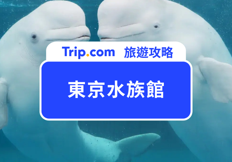 東京水族館