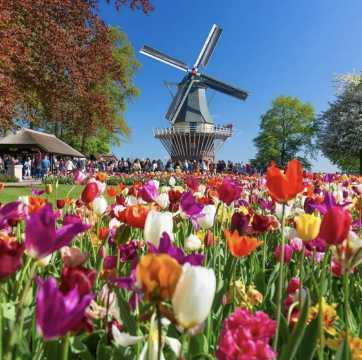 5월 축제 네덜란드