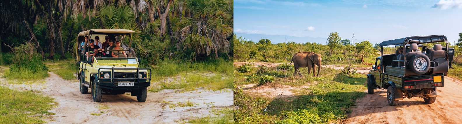 Bali safari by off-road jeep, spotting elephants in their natural habitat