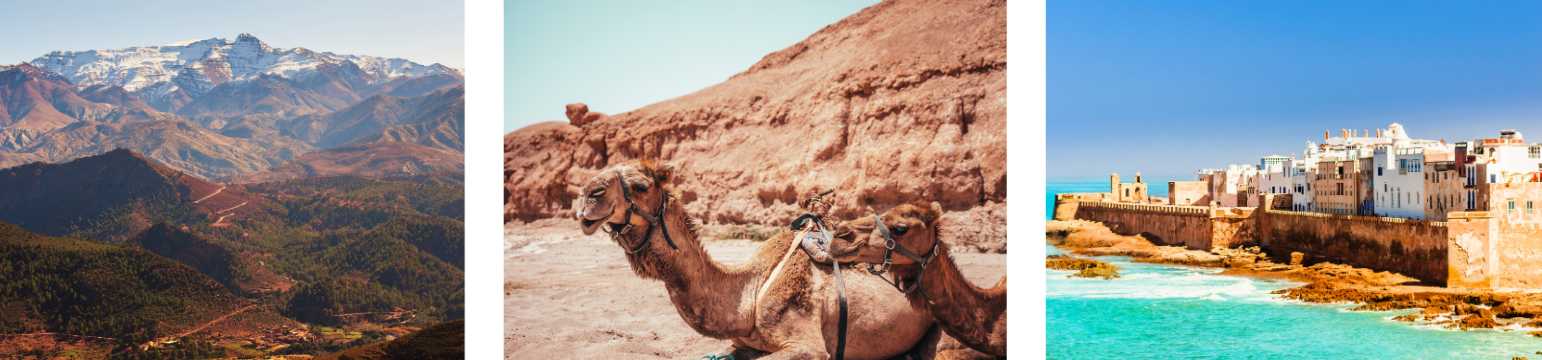 Paisaje de Marruecos con montañas del Atlas, camellos en el desierto y costa histórica