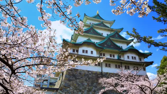名古屋親子遊, 名古屋城