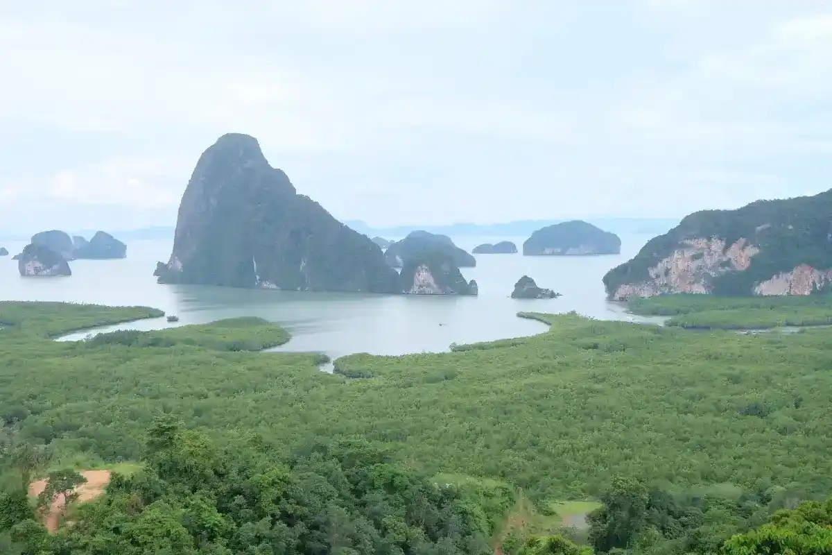 จุดชมวิวเสม็ดนางชี