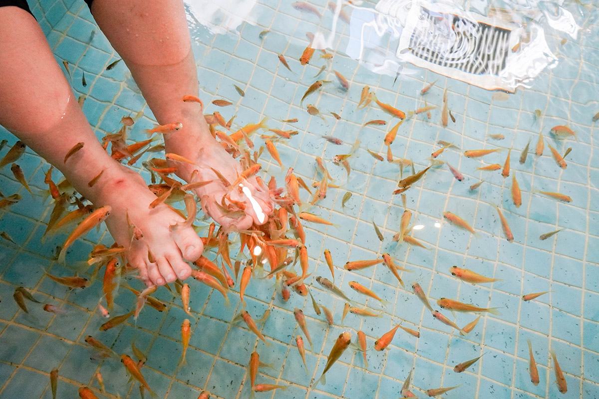 景大渡假莊園溫泉魚療