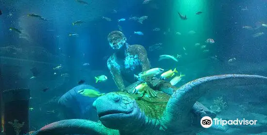 名古屋地圖, SEA LIFE 名古屋水族館