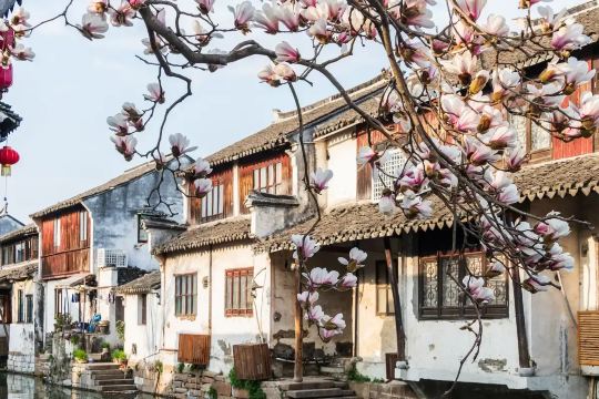 เที่ยวโจวจวง (Zhouzhuang) เมืองน้ำสุดโรแมนติก พร้อมแพลนทริปฉบับสมบูรณ์ | Trip.com