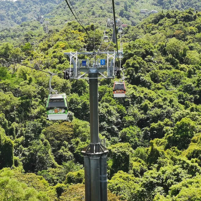 貓空纜車亮點# 2 綠意盎然