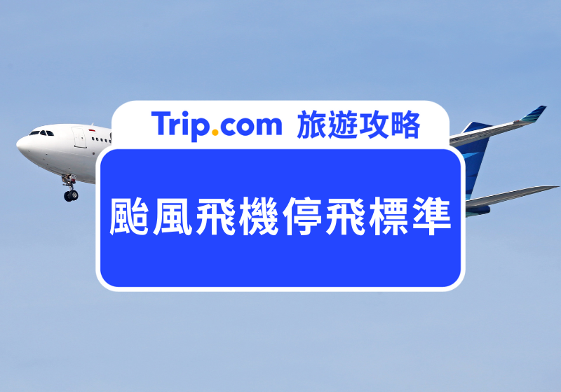 颱風飛機停飛標準