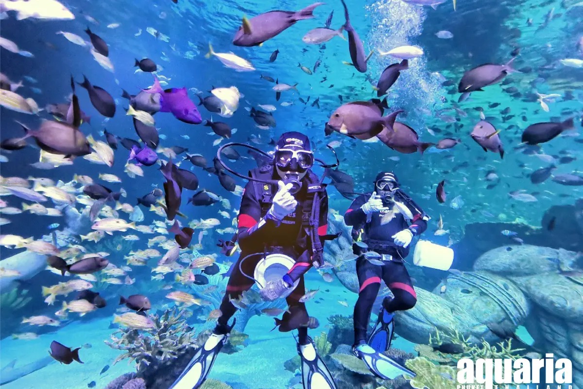 布吉 Aquaria 海洋水族館