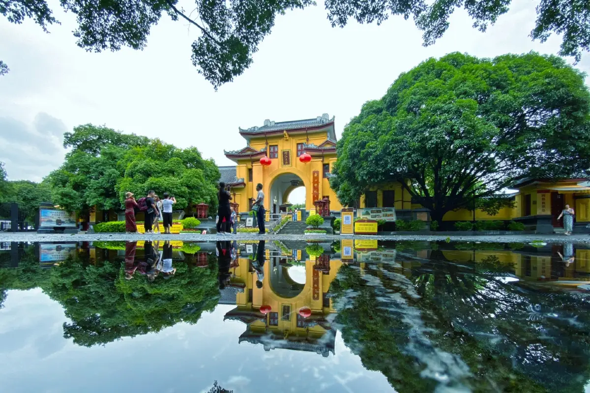 Solitary Beauty Peak Prince City