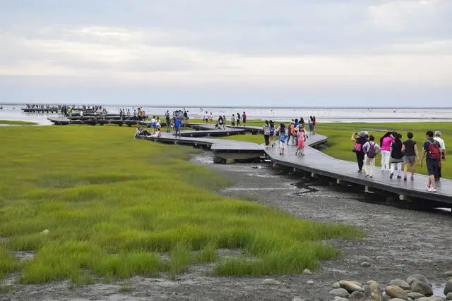 高美濕地木棧道