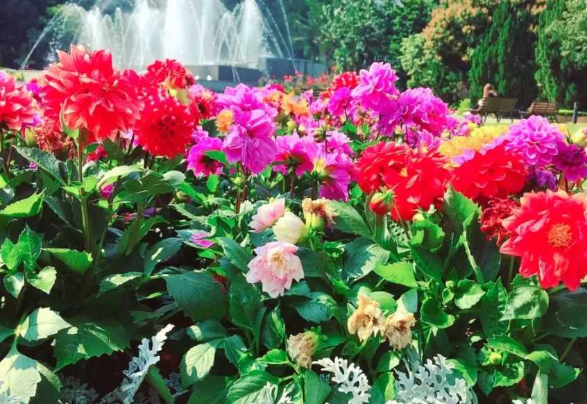 พาลูกเที่ยวฮ่องกง