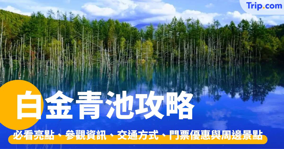 白金青池 2026 景點打卡攻略！連交通、一日遊行程策劃 | Trip.com