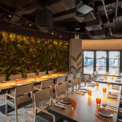 Рестораны и кафе Ocean Park