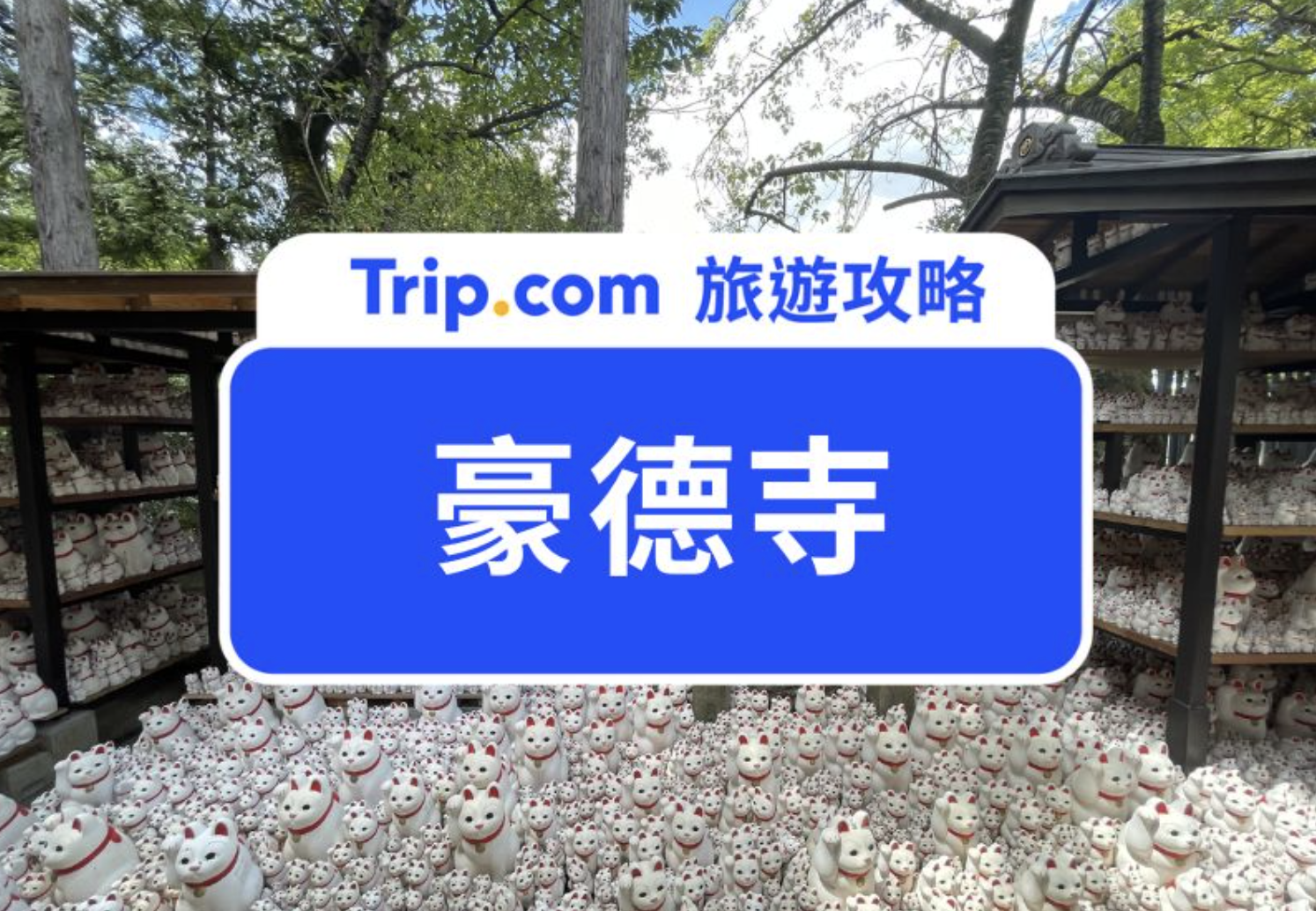 豪德寺