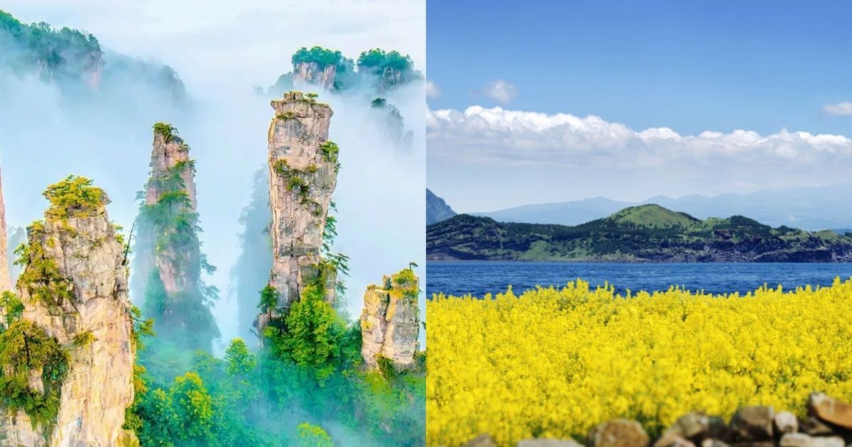Is China or South Korea better for nature?