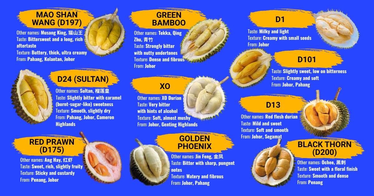Types of Durian