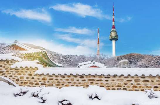 서울 혼자 여행 일정