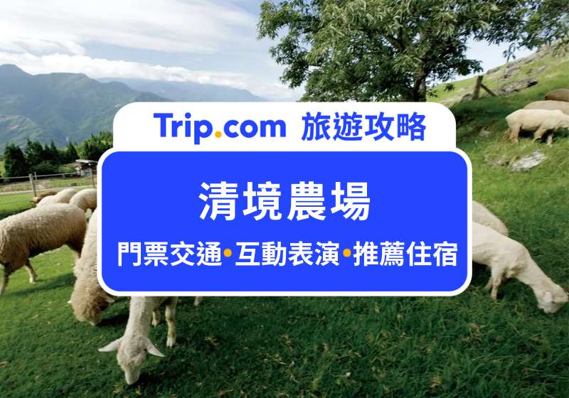 清境農場攻略｜不開車也能暢玩「台灣小瑞士」，亞洲唯一綿羊秀、全台最高天空步道！