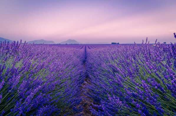 โพรวองซ์ - อุณหภูมิฝรั่งเศส