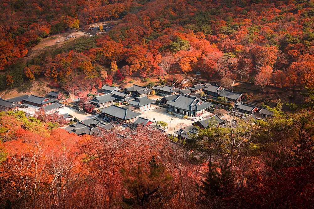 순천 여행코스 가볼만한 곳