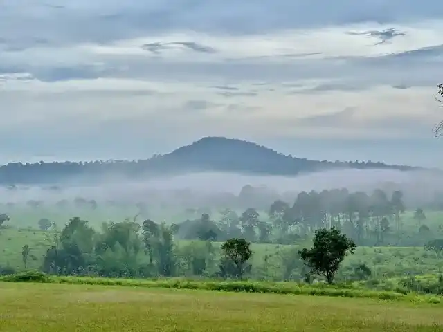 อุทยานแห่งชาติทุ่งแสลงหลวง