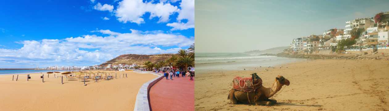 Paseo marítimo y playa de Agadir con palmeras y un camello descansando sobre la arena