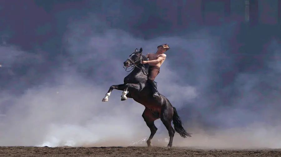 新疆古生態園汗血馬基地