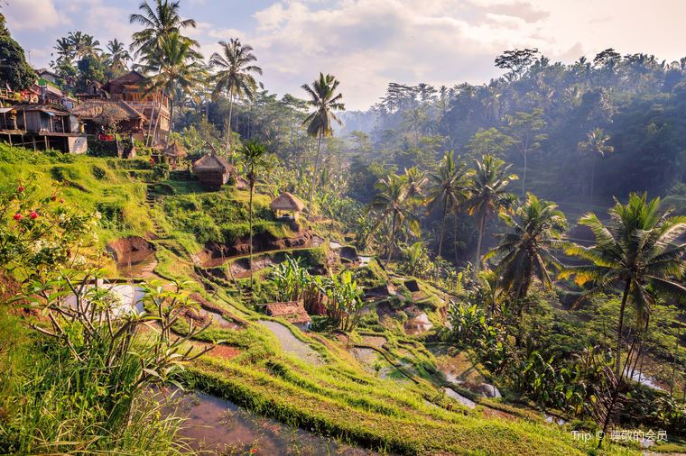 Top Things to Do in Indonesia: Best Activities & Must-Sees