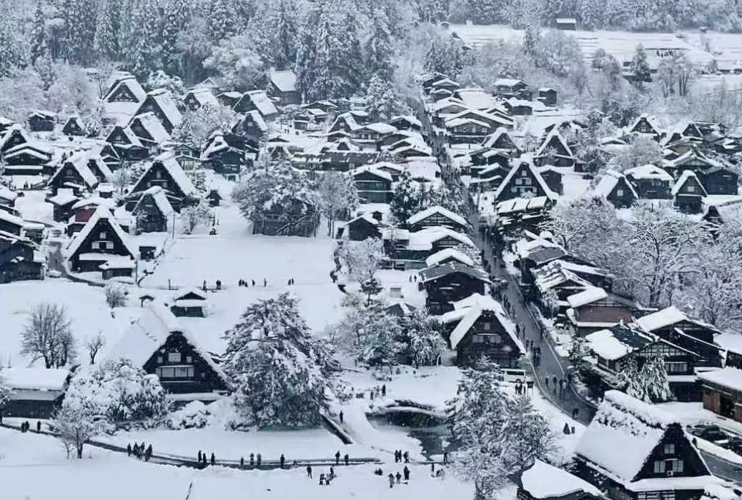 나고야 혼자 여행 시라카가오