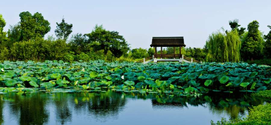Étang aux lotus et pavillon traditionnel dans les jardins de Hangzhou